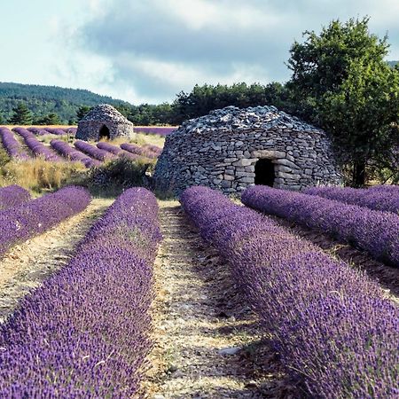 Le Cabanon Des Lavandes Entre Mont Ventoux Et Luberon Sault-de-Vaucluse Exteriér fotografie